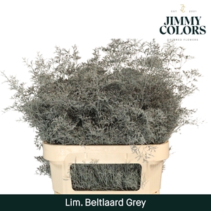 Lim Bel L90 Grey