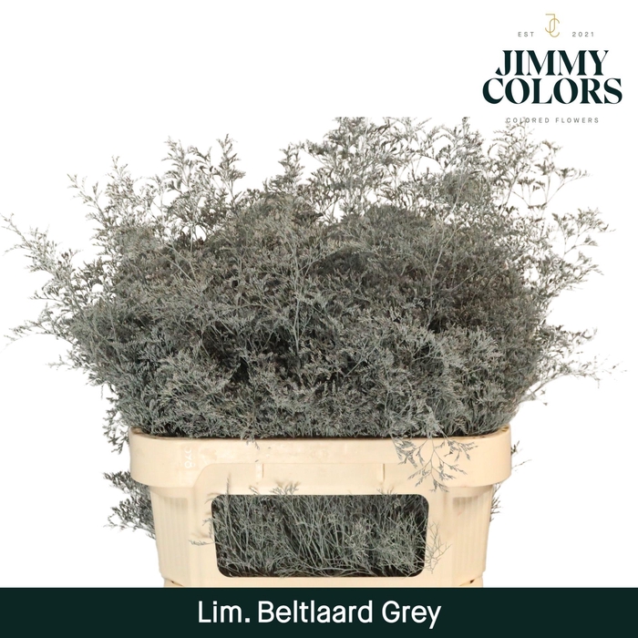 <h4>Lim Bel L90 Grey</h4>