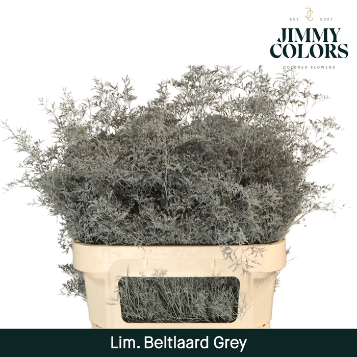 <h4>Lim Bel L90 Grey</h4>