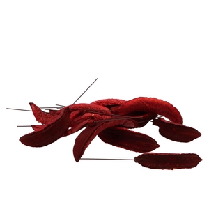 Pick Nature Estrella Red On Wire P/50 Pc