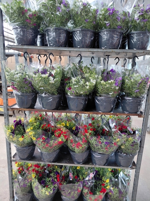 <h4>CALIB MINIF GEM POT</h4>