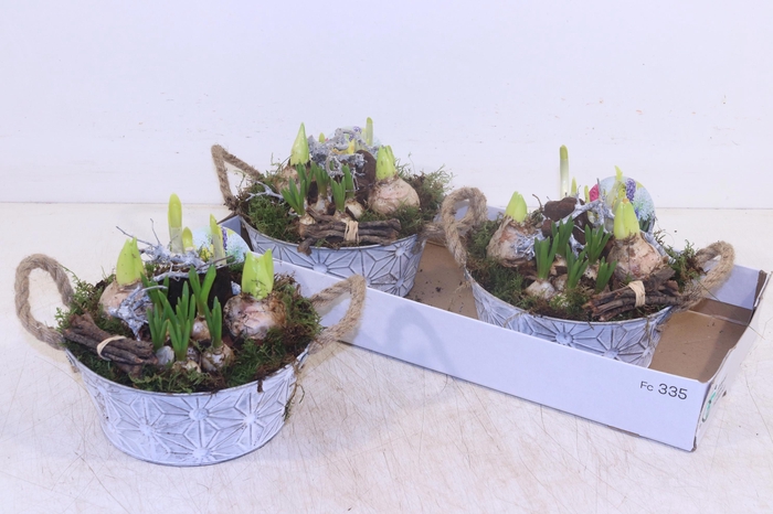 <h4>ARR BOL KNOLGEWAS</h4>