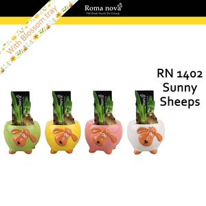 1402 - Sunny Sheeps (Tete a Tete)
