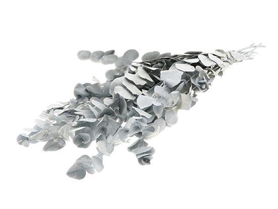 Bunch Euca Espiral Pres.150g L65