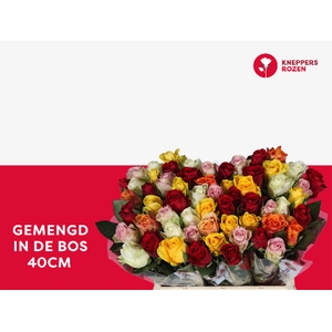 R Gr Mix In Bunch A2 Kneppers
