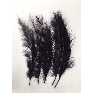 Feather Ostrich 5 Pcs L55