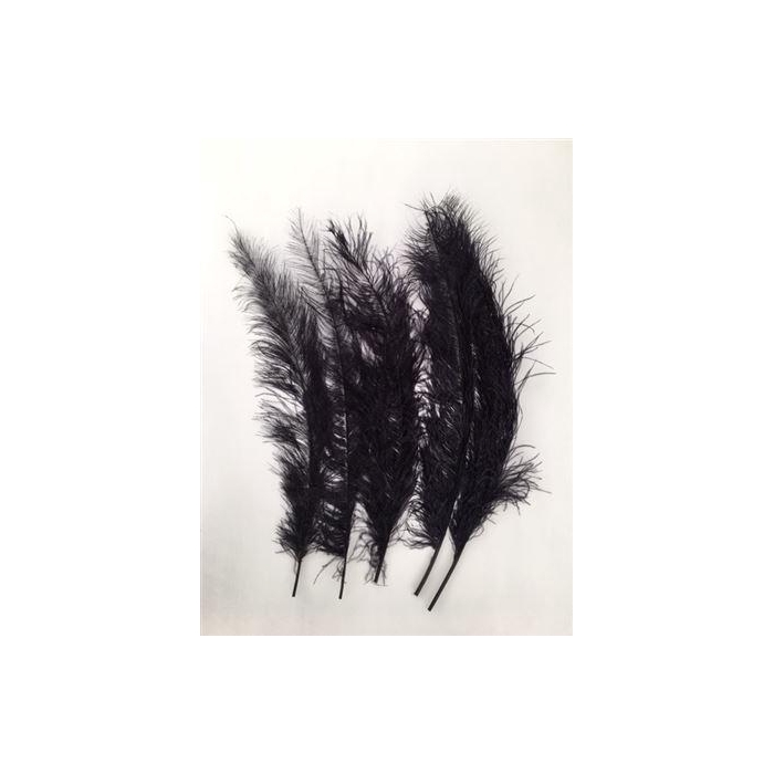 <h4>Feather Ostrich 5 Pcs L55</h4>