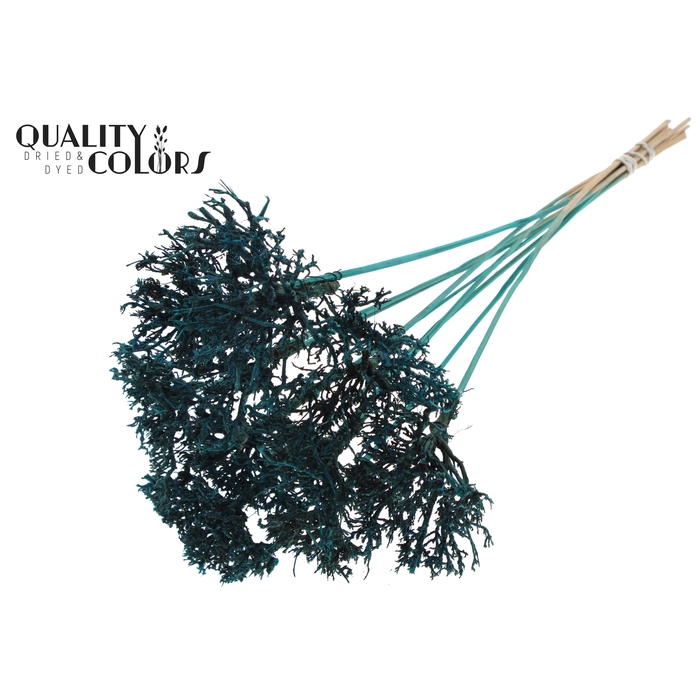 <h4>Dry Tree on stem Turquoise</h4>