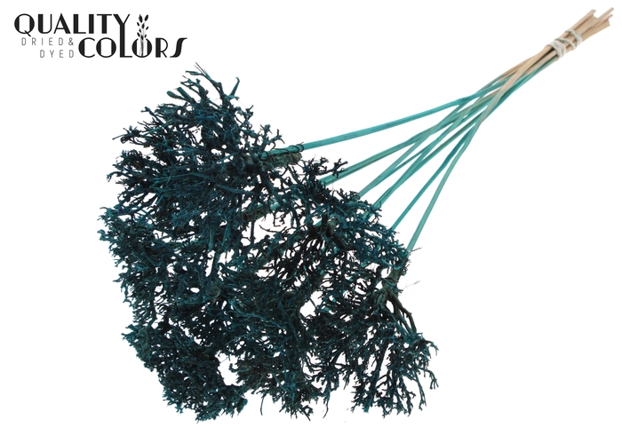 Dry Tree on stem Turquoise