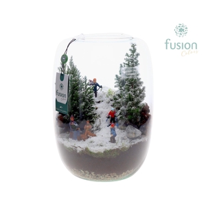 Green Bottle Isabella XLarge Winter met arrangement