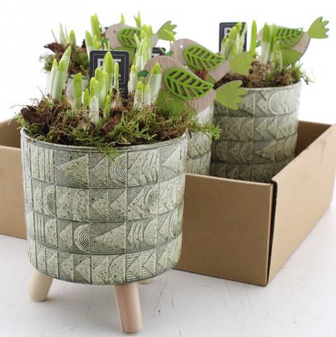 <h4>ARR N TETE A TETE</h4>