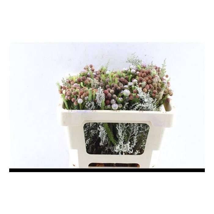 <h4>Kaaps Groe Gem In Bs</h4>