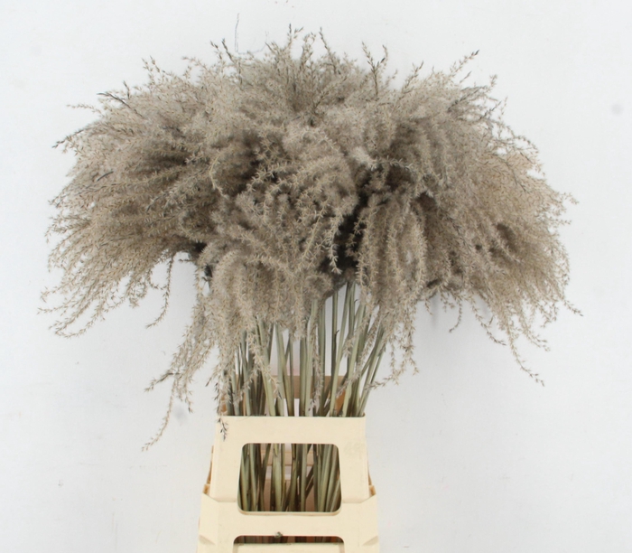 <h4>DROOGBL BEWERKT H%</h4>