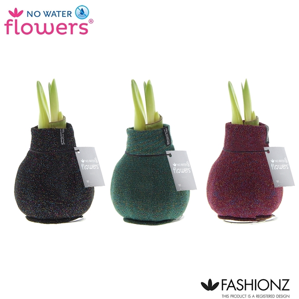 <h4>No Water Flowers® Fashionz Patternz Shine</h4>