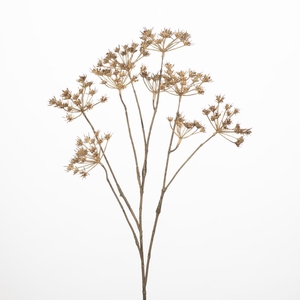 AF Cow parsley spr x5 L76cm br