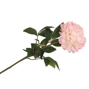 Silk Peony Tak Peach 71cm