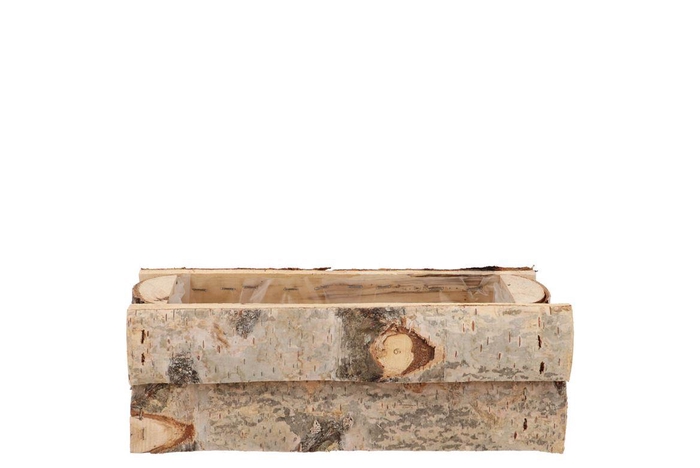 <h4>Nature Birch Rectangle 24x12x10cm</h4>