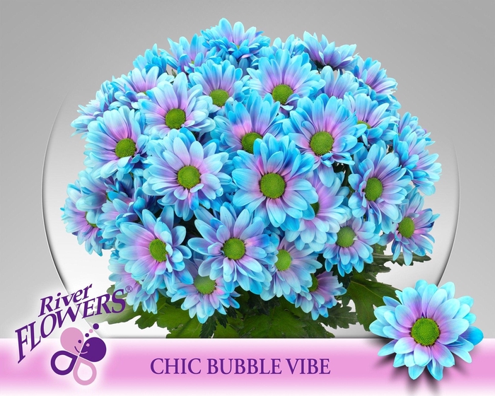 <h4>Chic Bubble Vibe 90 gram</h4>
