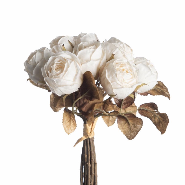 <h4>AF Rosa Dry Bnd x10 27cm Cream</h4>