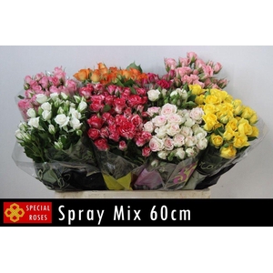 R Tr Gemengd In Fust 60cm