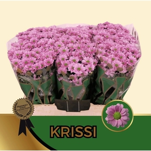 CHR S AAA KRISSI