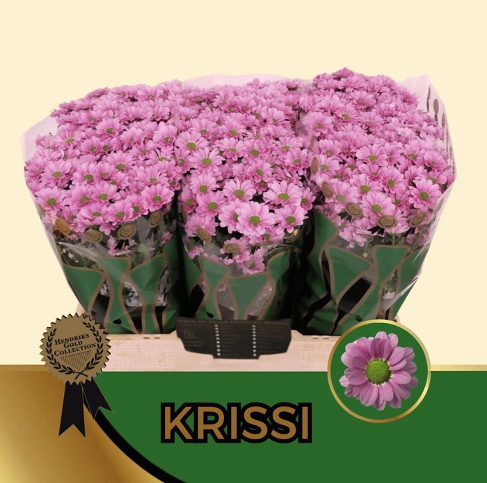 <h4>CHR S AAA KRISSI</h4>