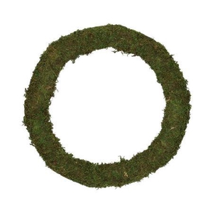 Wr Asia Moss 40cm Green