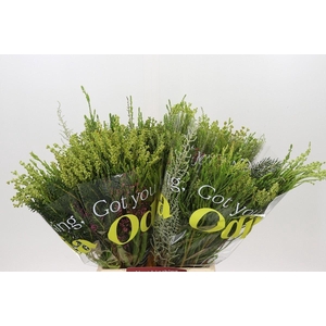 Kaaps groen   ...mix in bos