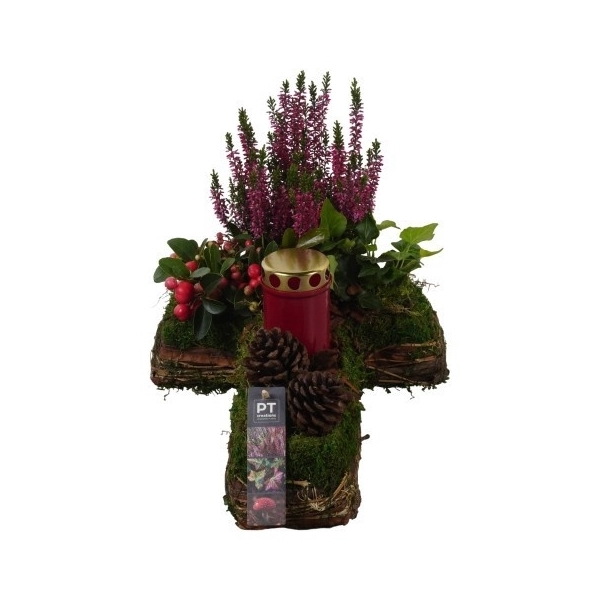 <h4>PTAH8651 Arrangement Allerheiligen in rieten kruis</h4>