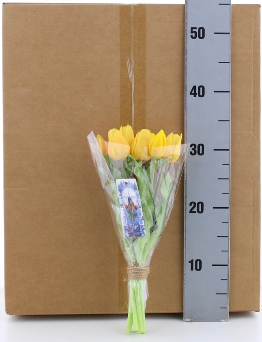 <h4>HUIS EN TUINDECO H%</h4>