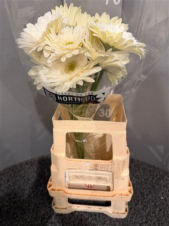 <h4>Ge Gr Balance</h4>