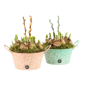 11648: Outdoor spring arrangement