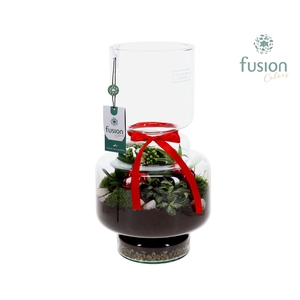 Green Bottle Lotte Large met Kerst arrangement