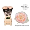 R GR ROYAL ROMANCE