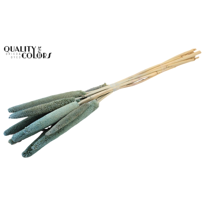 <h4>Babala on natural stem Frosted Light Blue</h4>
