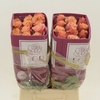 Rosa gr Cherry Brandy