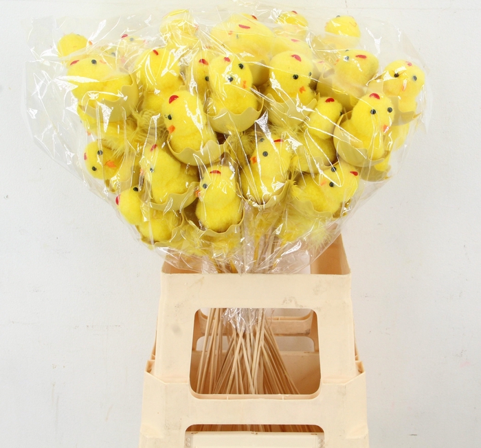 <h4>HUIS EN TUINDECO H%</h4>