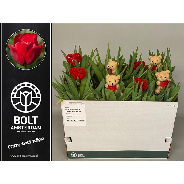 <h4>VALENTINE EDITION - Red Model - Tulips with bulbs - Large Bouquet - 10 Tulips</h4>