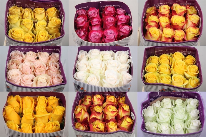 R Gr Gemengd In Fust Ec