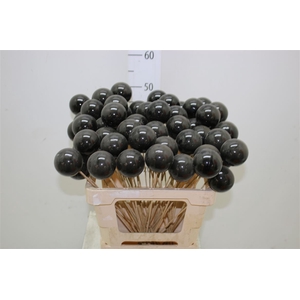 X-mas Balls Black