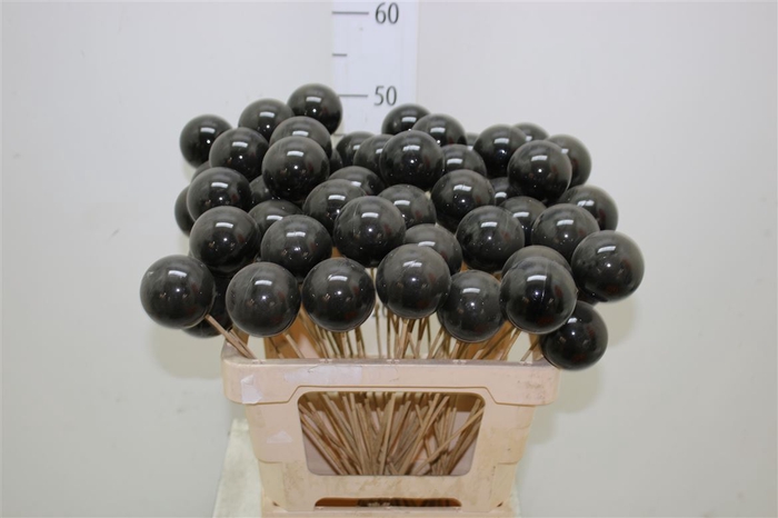 <h4>X-mas Balls Black</h4>