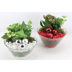 arr2 PL - Glas schaaltje bal - rood/wit