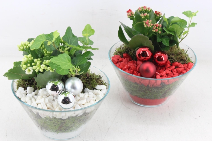 <h4>arr2 PL - Glas schaaltje bal - rood/wit</h4>