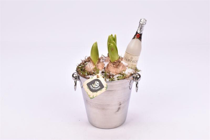 <h4>Champagnekoeler zilver 14 cm</h4>