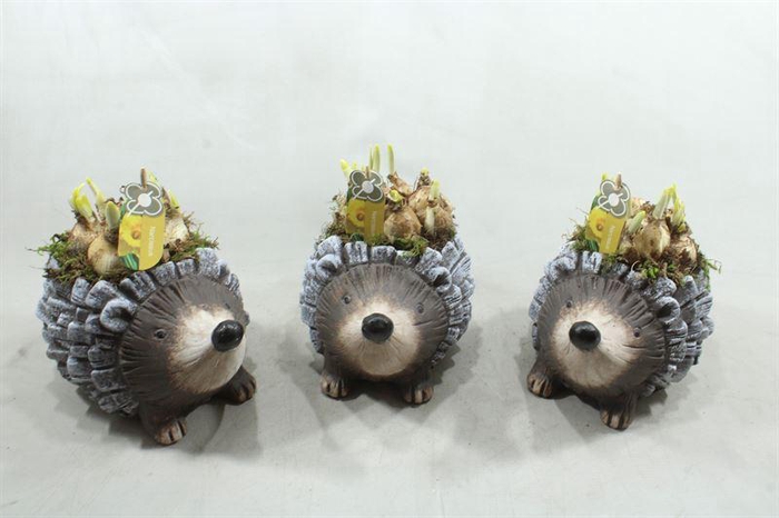 <h4>3461  EGEL TETE</h4>