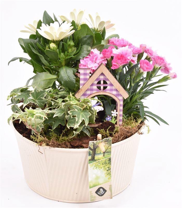 <h4>Zink schaal ribbel creme 18cm</h4>