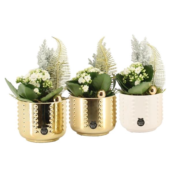 Arrangementen Kerst 6%