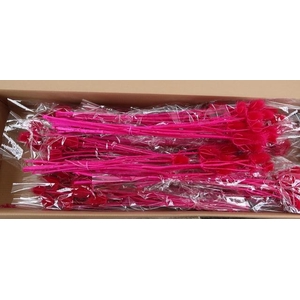 DF Dipsacus Fuchsia Bs 130g