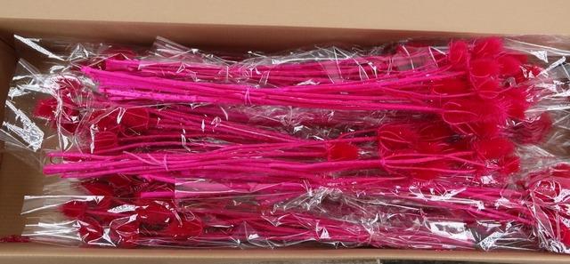 <h4>DF Dipsacus Fuchsia Bs 130g</h4>