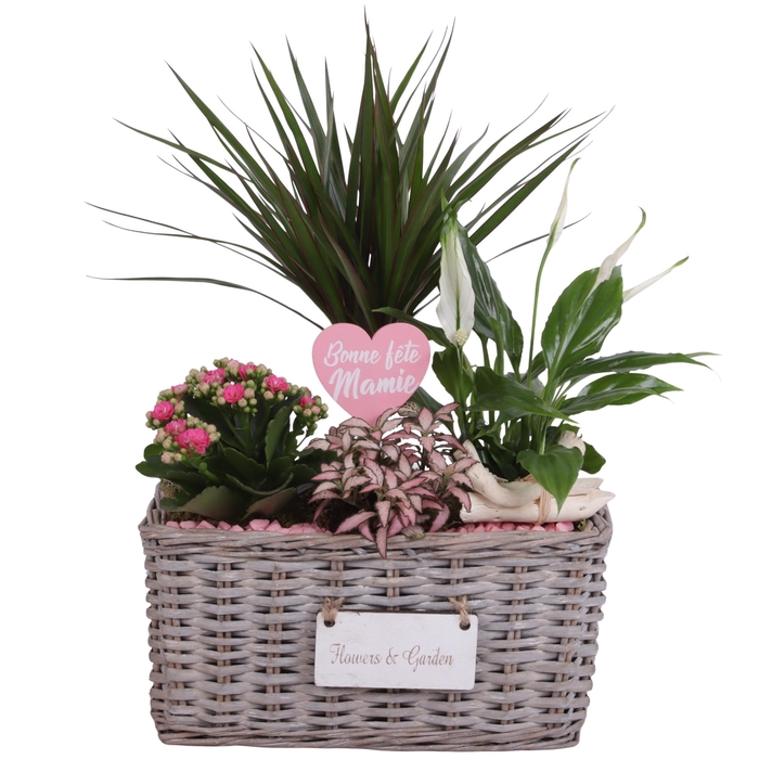 <h4>Grandmothers Day Arr. Indoor Willow Basket Flowersign Ø30cm 4PP</h4>